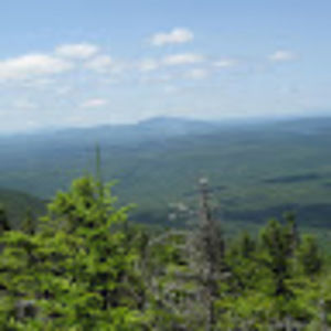 Meet your Posher, Gary